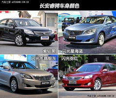 中低配置更有性价比 长安睿骋购车手册